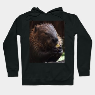 North America Beaver Hoodie